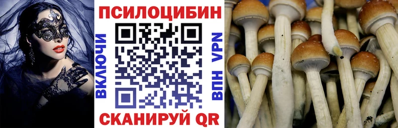 Галлюциногенные грибы MAGIC MUSHROOMS  Костерёво 